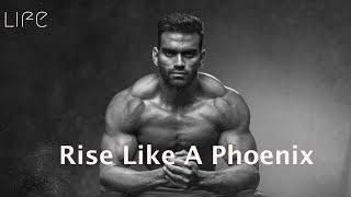 Rise Like A phoenix   |  Motivational Video.