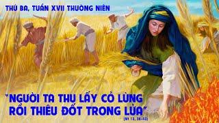 Vui sống Lời Chúa: Thứ Ba - Tuần XVII Thường niên