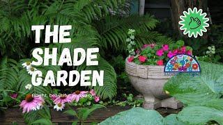 Plants for the Shade Garden