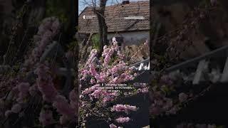 «Повністю село знищене» Житель Великомихайлівки про зруйновані села поблизу Дніпропетровщини