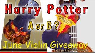 Harry Potter Custom Violin - June Giveaway - FiddlingWhistle