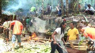 Beginilah Toraja Mempersiapkan Masakan Untuk Pernikahan