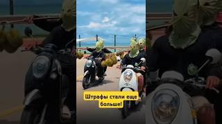 Сколько придется отдать за езду без шлема в Таиланде?