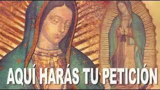 HERMOSA ORACIÓN A LA VIRGEN DE GUADALUPE ¡COMPÁRTELA!