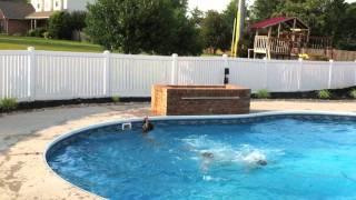 Swimming at the Morenos