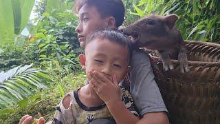 Without a kind man to help, the orphan boy went to harvest wild vegetables to sell