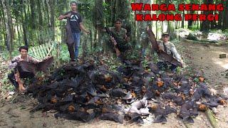 Berburu kalong //undangan warga malimping//panen raya