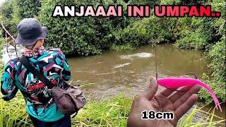 EDAAAANN.. UMPAN SEGEDE INI BISA JUGA PANEN IKAN TOMAN