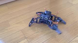 Quadruped Robot