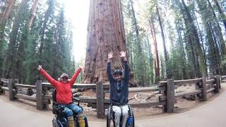 Sequoia National Park + Kings Canyon National Park Wheelchair Travel Tips
