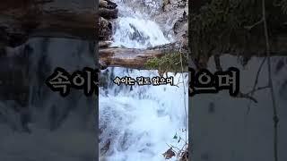 마음 공부의 길 #부처님 #부처님말씀 #진리 #인생
