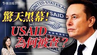 馬斯克受到生命威脅！他為何先查USAID？太多真相你不知道！石正麗都從這裡領工資。｜薇羽看世間 20250205