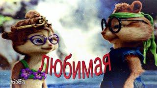 Osman Navruzov - Lyubimaya / Осман Наврузов - Любимая /Burunduqlar (Official Video 2021)