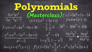 Everything You Must Know About Polynomials