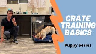 Learn how to effectively crate train your puppy.