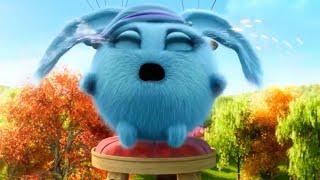 Sunny Bunnies | Why is Shiny Crying ? | COMPILATION | Cartoons for Children