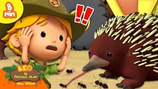 Semut-semut Berbaris... KE DALAM PERANGKAP!!  | Leo Si Penjaga Alam | Kartun Anak-Anak