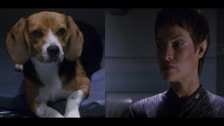 T'Pol Meets Porthos Echoing Enoch