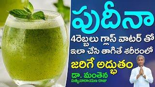 Get Surprising Health Benefits | Drink Mint Leaves Water Every Day | Dr Manthena Satyanarayana Raju