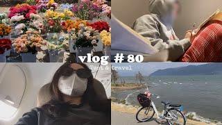 vlog  80 疯狂复习/临时抱佛教/去有风的地方/云南6日游/大理