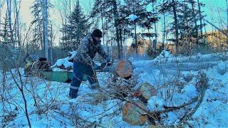 СОБОЛЯ ЛОВЯТСЯ, ДРОВА ПИЛЯТСЯ И ВСЕ В ЦЕЛОМ ХОРОШО В ТАЙГЕ