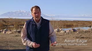 Utah Lake Cleanup