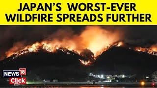 Largest Wildfire In Decades Rages In Japan As Authorities Warn It Could Spread | Japan News | N18G