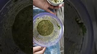 Green Chutney #greenchutney