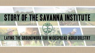 Story of the Savanna Institute: Laying the Groundwork for Widespread Agroforestry | Keefe Keeley