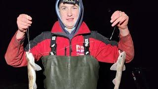 Bossington Match, Bristol Channel (Reel Fun Fishing)