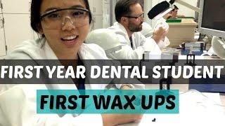 First Wax Ups || Brittany Goes to Dental School