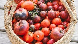 How to Freeze Tomatoes (NO peeling!)