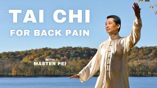 Tai Chi for Back Pain Relief | Tai Chi for Beginners 30 Minute Routine with Master Pei