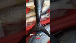 सुरमई मासा | King Fish | Seer Fish #shorts #viral #viralshorts #fish_video #shortsfeed #fishcutting