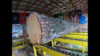 sawing a 32 inch pine log into 2x4's # 467