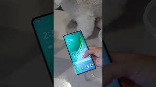 Fur-tough Moments? No Problem with CAMON 40 Pro 5G