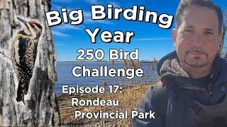 Birding Big Year 250 Bird Challenge Rondeau Provincial Park Southwestern Ontario EP16