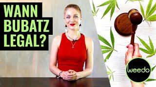 Kann die Cannabis-Legalisierung jetzt noch scheitern? - Weedo TV