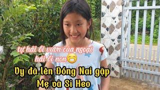 46#Cuộcsống Thụy Điển.Vy đã lên gặp Mẹ và Si Heo #cuocsongthuydien #cuộcsống #châuâu