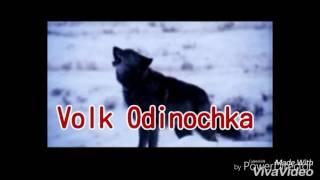 aka Dron-Volk odinochka