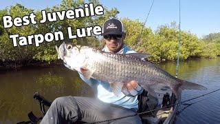 The Best Lure To Catch Juvenile Tarpon (Even If They're Being Picky)