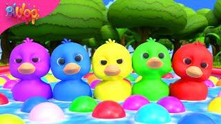 Five Little Ducks | Kids Songs | BluLoo Nursery Rhymes & Kids Songs