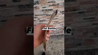 Welcome to the Flat World #flat #world #tiktok #youtube #shorts #viral
