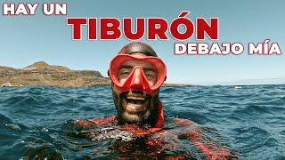 PESCA SUBMARINA EN CANARIAS. TIBURÓN  (esta vez si me acojoné).