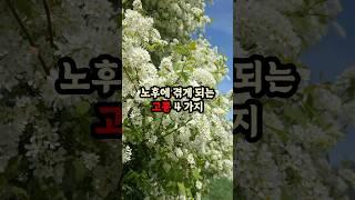 노후에 겪게 되는 고통 4가지 #현실조언 #명언 #삶의지혜 #인생지혜