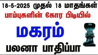 அடுத்த 546 நாட்கள் | பாம்புகளை வெல்லும் கீரியாக | மகரம் ராகு கேது பெயர்ச்சி பலன்கள்  # makaram