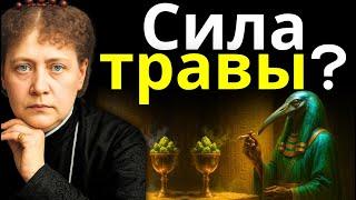Духовная СТОРОНА марихуаны, о которой НИКТО не рассказывает — Елена Блаватская