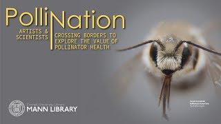 PolliNation exhibit in Mann Gallery, Spring/Summer 2019