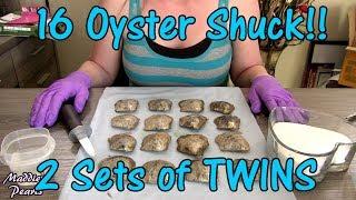 Opening 16 Akoya Oysters - 2 Sets of Lucky TWINS! - Pearl Party Mystery Shuck Exotic Pearl Colors