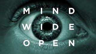 META: Mind Wide Open